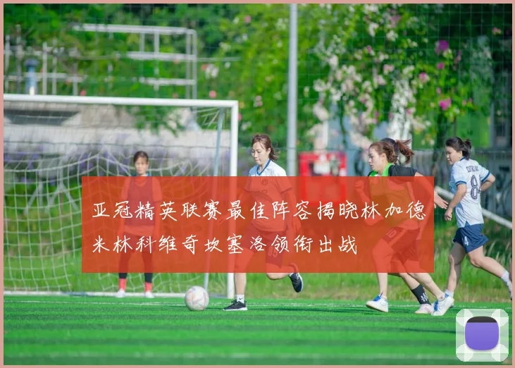 亚冠精英联赛最佳阵容揭晓林加德米林科维奇坎塞洛领衔出战