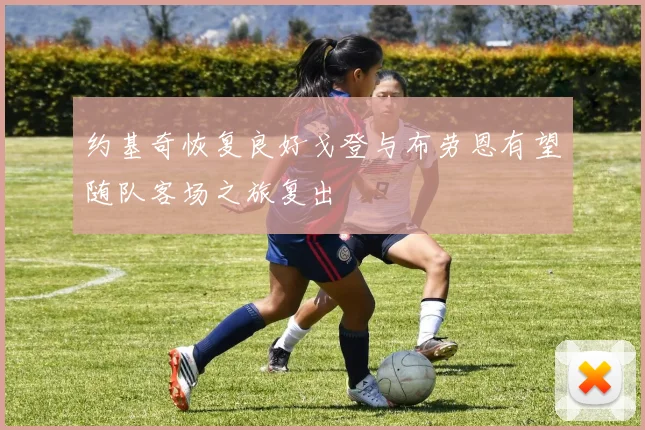 约基奇恢复良好戈登与布劳恩有望随队客场之旅复出