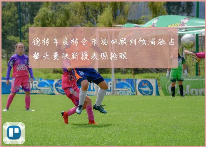德转年度转会市场回顾利物浦独占鳌头曼联新援表现抢眼