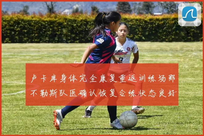 卢卡库身体完全康复重返训练场那不勒斯队医确认恢复合练状态良好