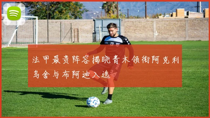 法甲最贵阵容揭晓青木领衔阿克利乌舍与布阿迪入选